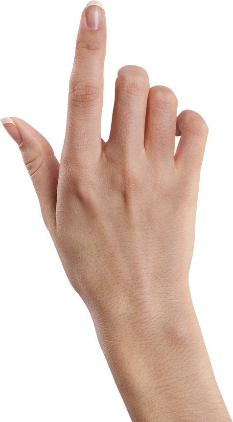 Hand Gesture Pointing